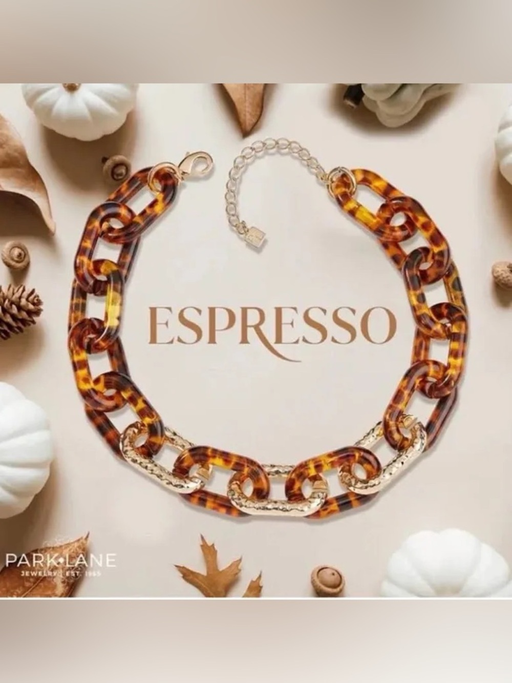 Park Lane Espresso Tortoiseshell and Gold Link Necklace
